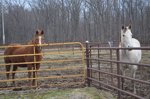 Property photo 49 - REAL ESTATE & FARM EQUIPMENT AUCTION IN ALLEN COUNTY, INDIANA